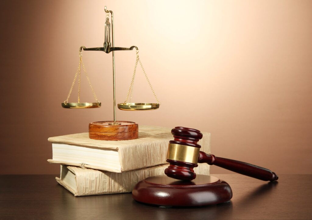 domestic assault lawyer Minneapolis MN reviewing case documents