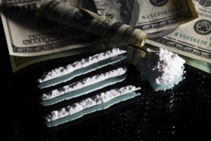 Understanding Drug Crime Cases